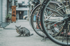 お前いつもここに居るな〜
