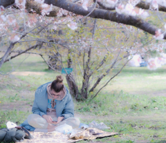 満開の桜の下で見るスマホ ２