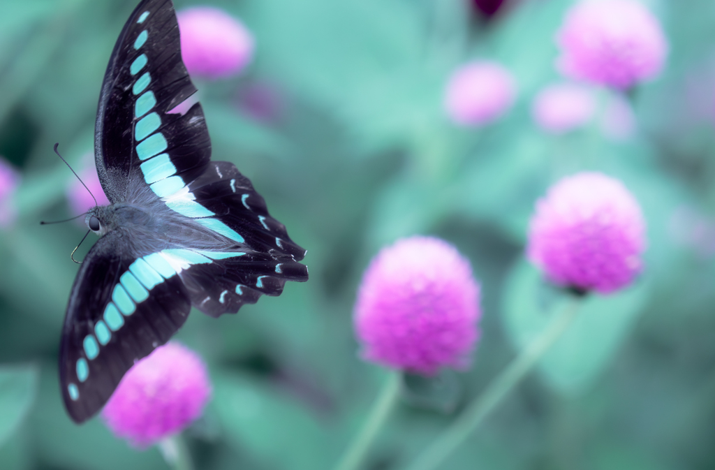 AIノイズ除去がマイクロフォーサーズには福音