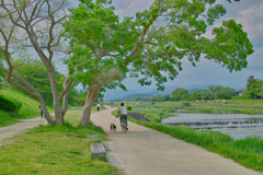 賀茂川の風景
