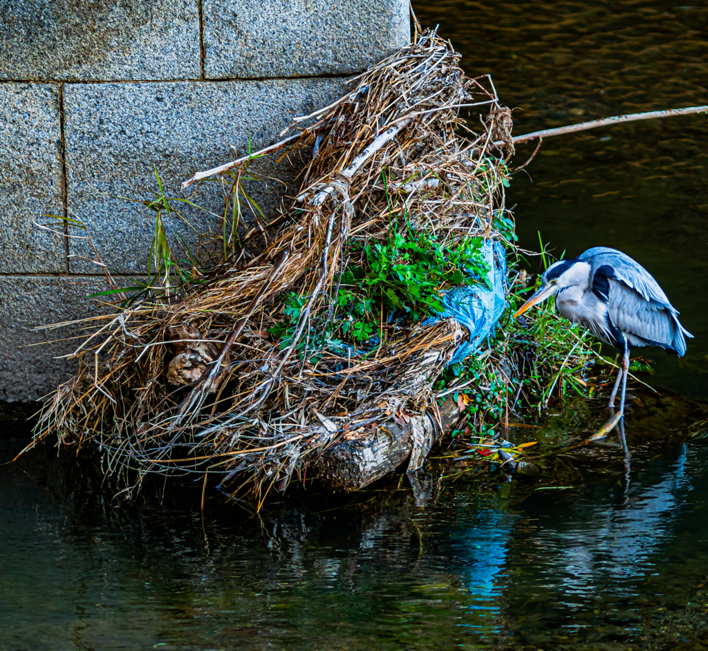 冬はカバー撃ち