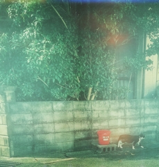 ごちそうさまですにゃ〜