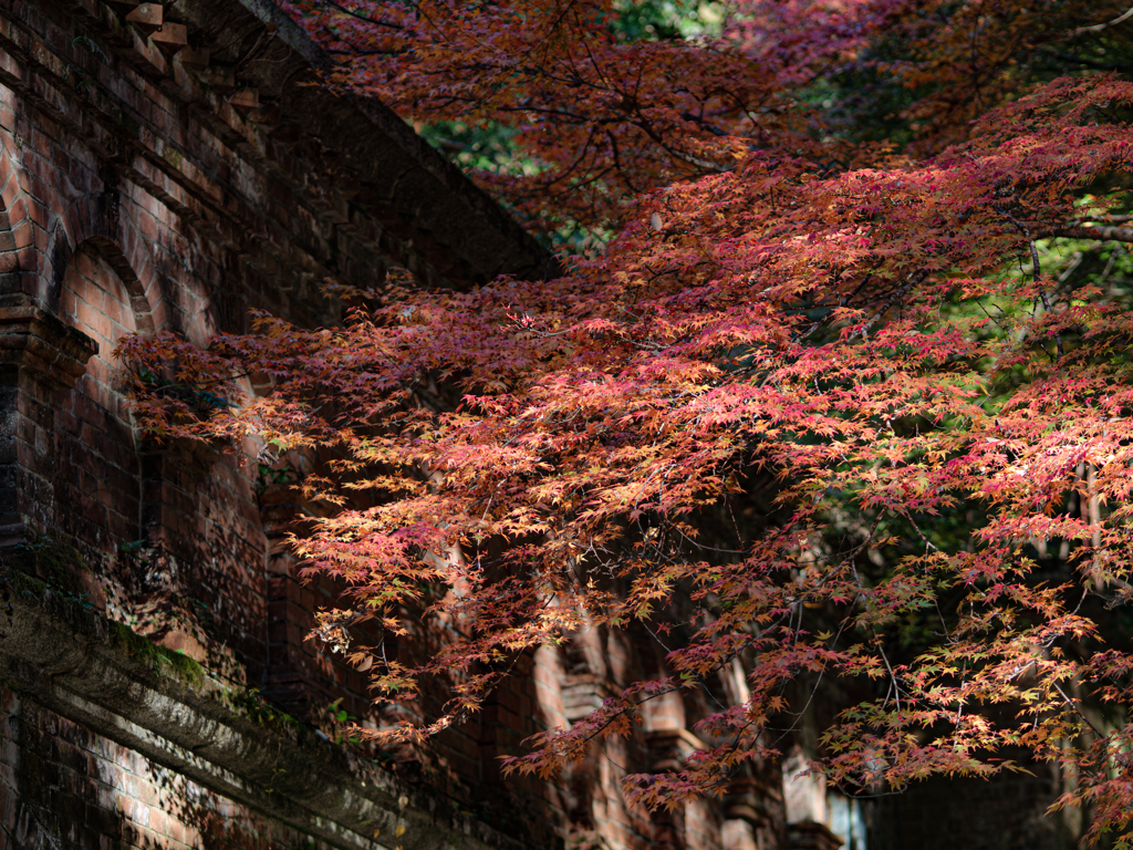 水路閣と紅葉 2