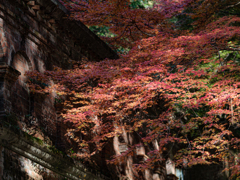 水路閣と紅葉 2