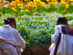 オリンピックは諦めますので植物園だけ開けてください