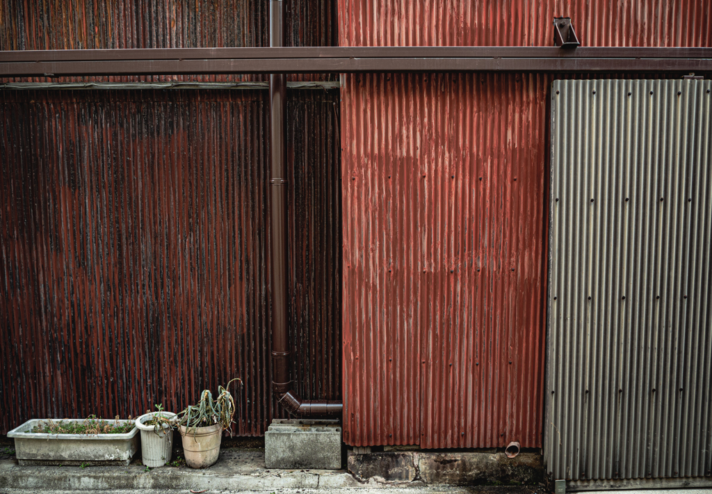 すっかり私もトタニスト