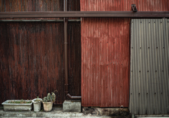 すっかり私もトタニスト