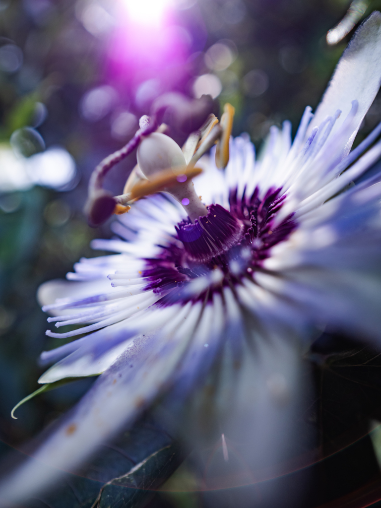 時を止める魔法をかけて