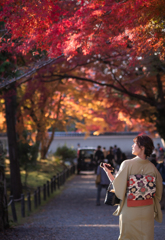 綺麗な紅葉やわ〜