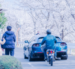フェラーリに被るカブ