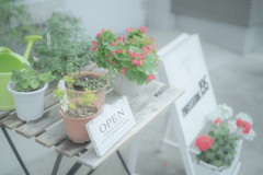 OPEN