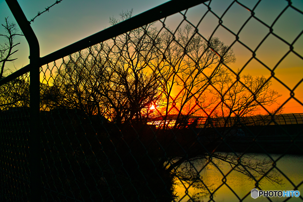 フェンス越しの夕日