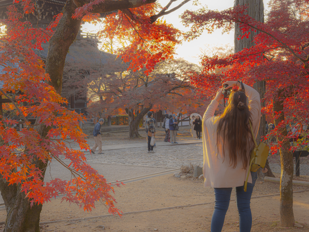 紅葉と塔を撮る女性