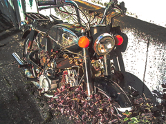 自然に還る過程