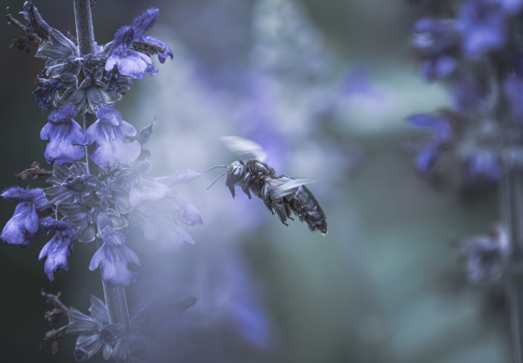 酷暑でも食欲旺盛