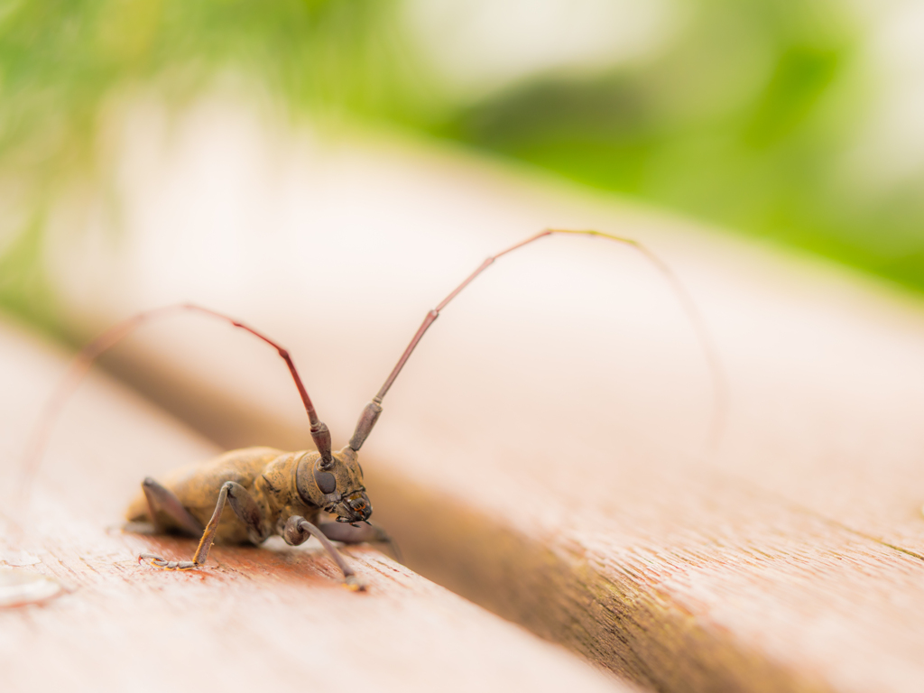 君はベンチと同じ色やね