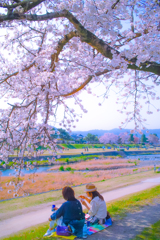 お花見女子会