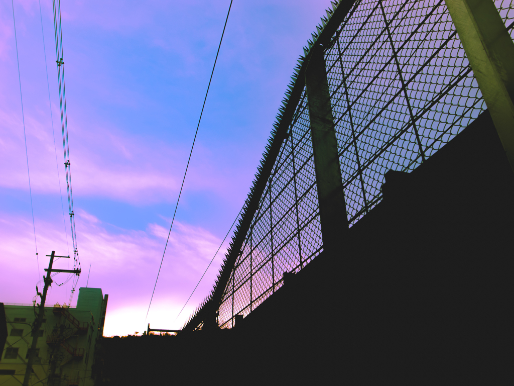 侵入者を阻むギザギザ