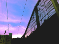 侵入者を阻むギザギザ