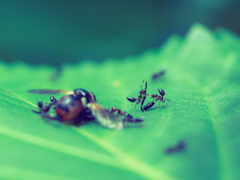 お〜い、足もって行ってくれ！！