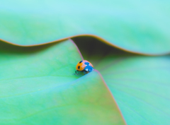 Ｔ字路を右折っと