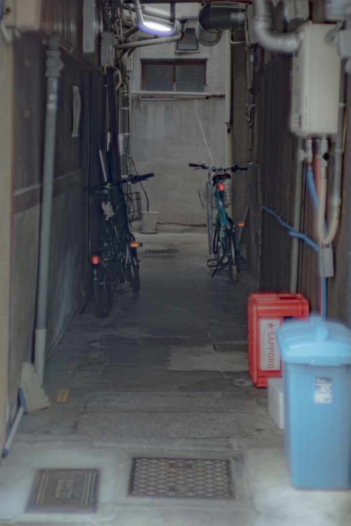 路地なのか行き止まりか分からへん路地