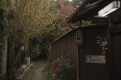 お寺の並びの細い路地