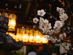 ペンタの画作り好きかも知れん