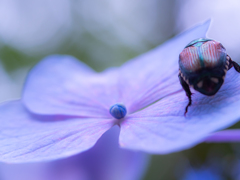 あれっ、何しに来たんやったっけ・・・