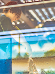 飼育員さん掃除中