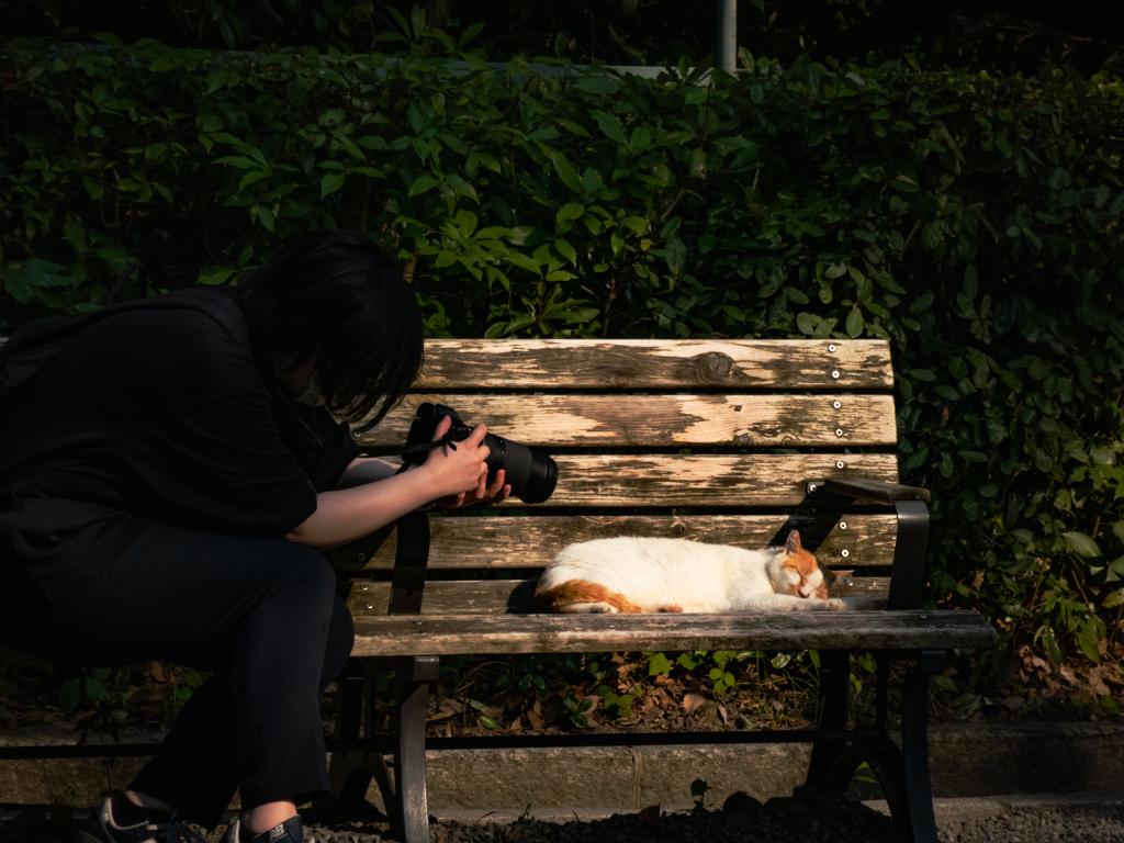 寝る猫撮る人撮る私