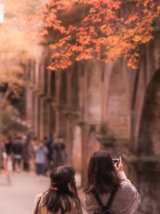 水路閣の紅葉を撮る人