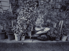 プランターに埋もれたスクーター