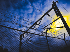 侵入者を阻む有刺鉄線