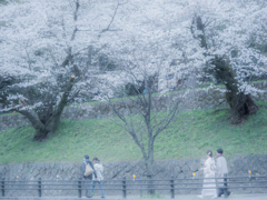 桜インクライン