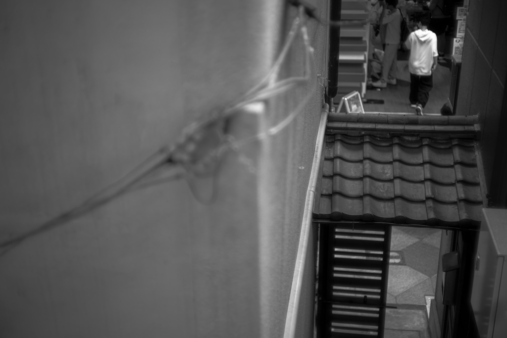 繁華街のお寺の二階のからの風景