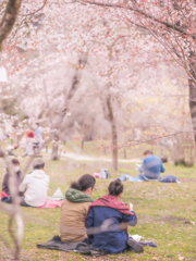 早くも花見を愉しむ人々