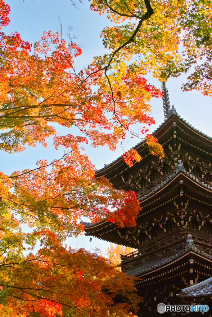 真如堂の紅葉と塔