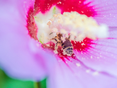 ごめん、ちょっと今忙しい。