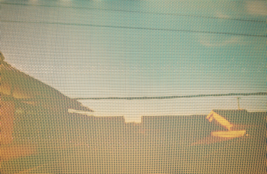 夕陽が当たる網戸