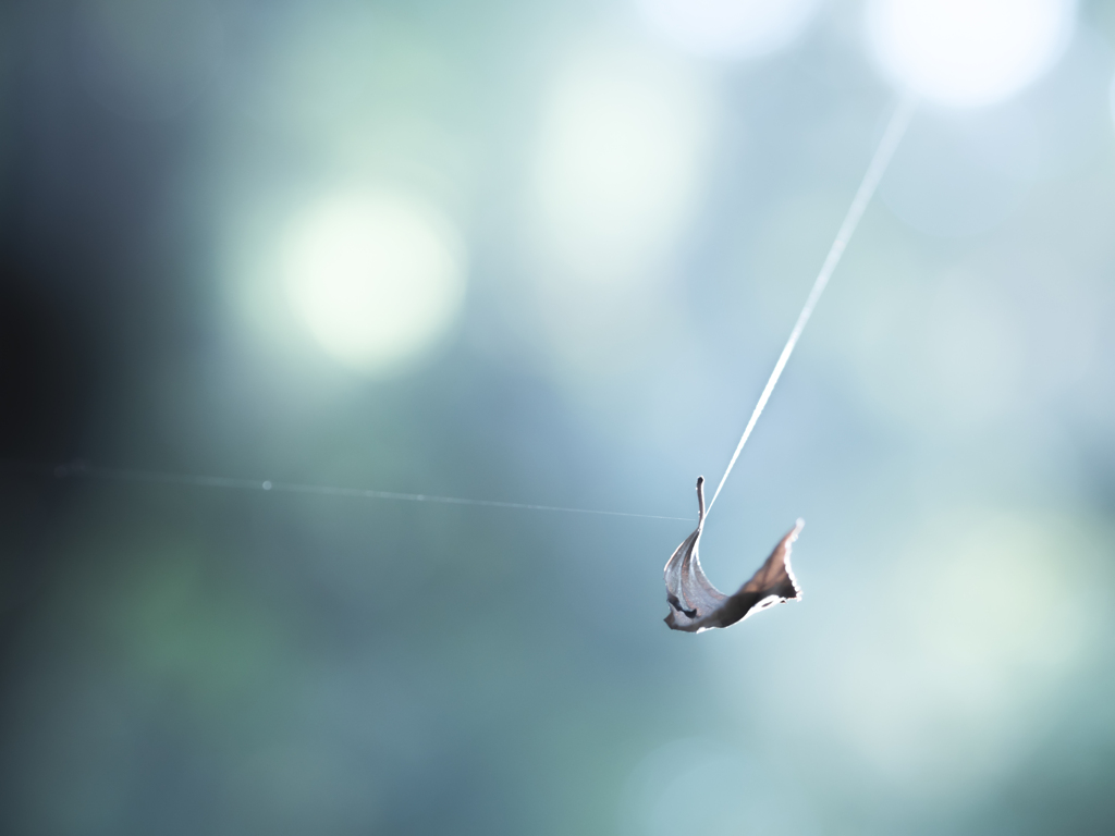 私の心は宙ぶらりん