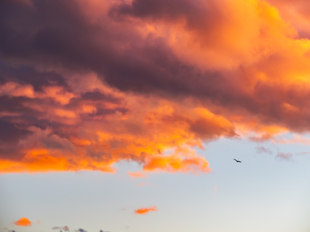 夕暮れ時って寂しいな