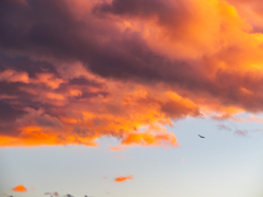 夕暮れ時って寂しいな