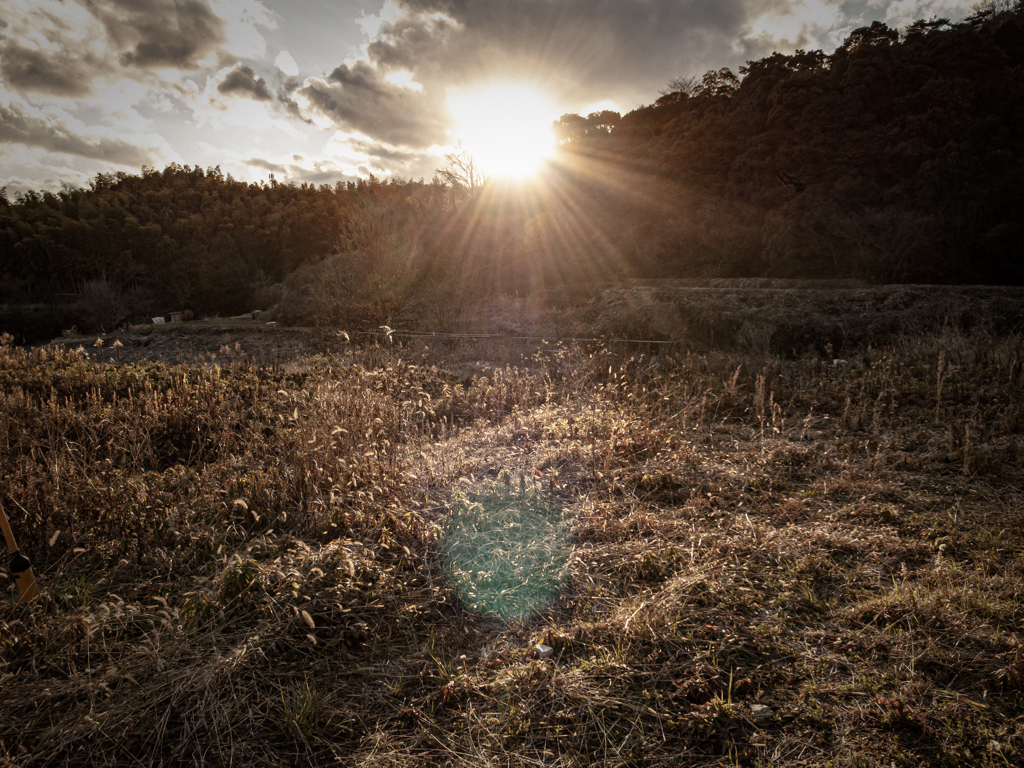 坂道を登って行くとだいたい山