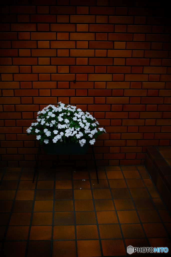 シンプルイズベスト