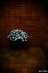 シンプルイズベスト