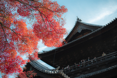 南禅寺山門と紅葉 2