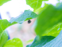 あれっ？？何か動いてる？？