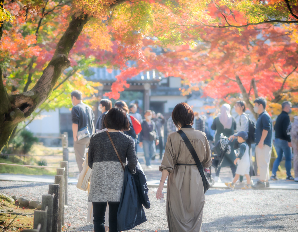 母と歩く南禅寺