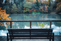 池の畔にベンチのある公園の木々の紅葉